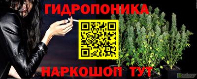 стафф Рязань