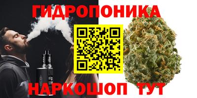 стафф Рязань